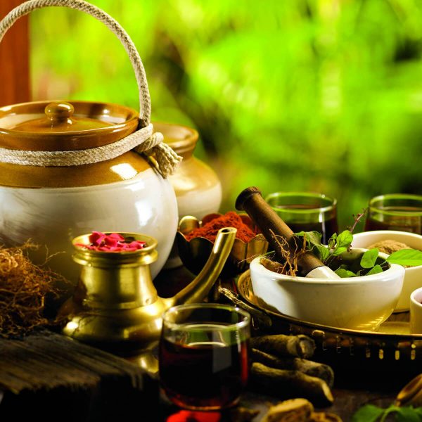 Ayurvedic,Herbal Products & Medicine E-Commerce Export Business Opportunity