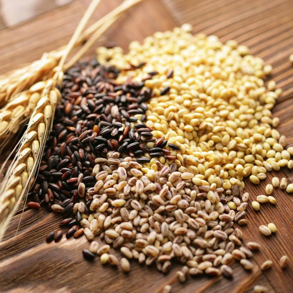 Cereals & Food Grains E-Commerce Export Business Opportunity