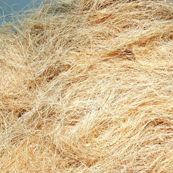 Coir and Agro Products E-Commerce Export Business Opportunity