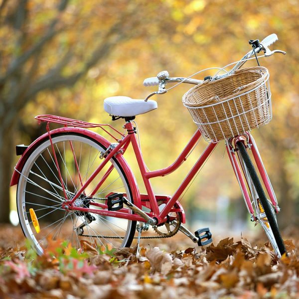 Kids, Racing Bicycles and Rickshaws E-Commerce Export Business Opportunity