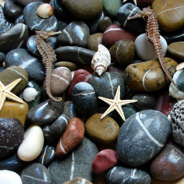 Cobbles, Pebbles & Pavings E-Commerce Export Business Opportunity