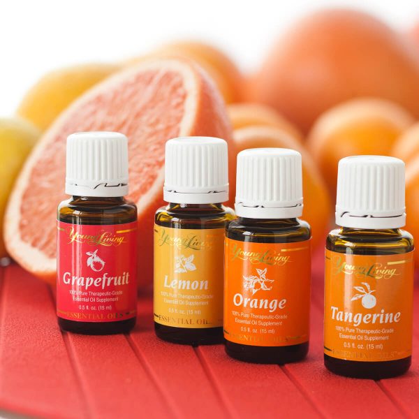 Essential & Aromatic Oils E-Commerce Export Business Opportunity