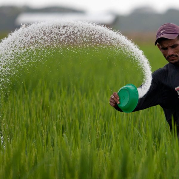 Fertilizers and Soil Additives E-Commerce Export Business Opportunity