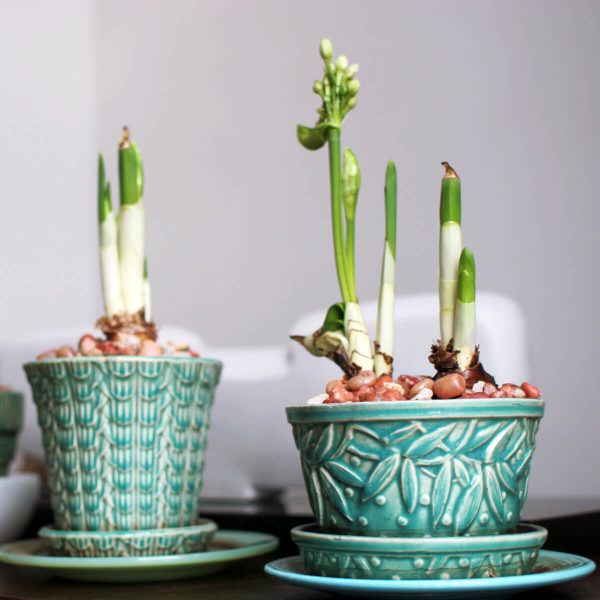 Flower Pots & Vases E-Commerce Export Business Opportunity
