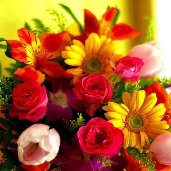 Fresh Flowers, Plants & Trees E-Commerce Export Business Opportunity