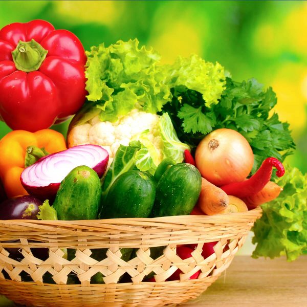 Fresh, Dried & Preserved Vegetables E-Commerce Export Business Opportunity
