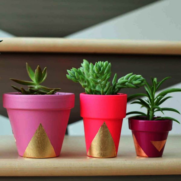 Flower Pots, Wall & Garden Planters E-Commerce Export Business Opportunity