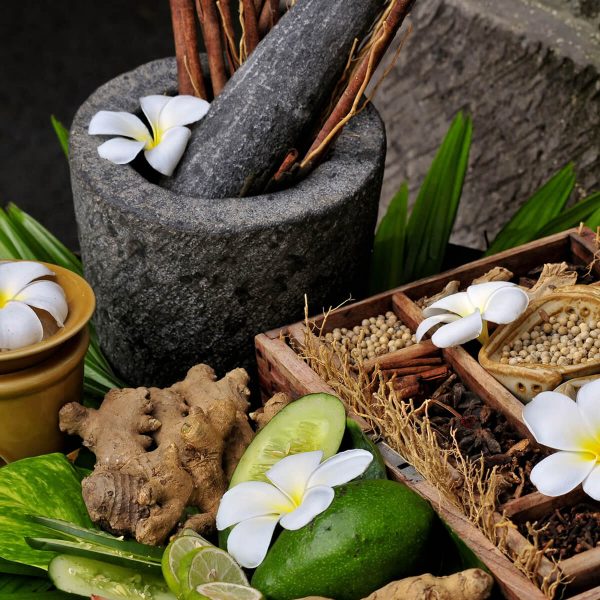 Ayurvedic & Herbal Extracts E-Commerce Export Business Opportunity