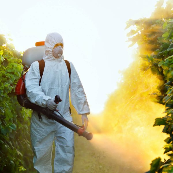 Insecticides and Pesticides E-Commerce Export Business Opportunity