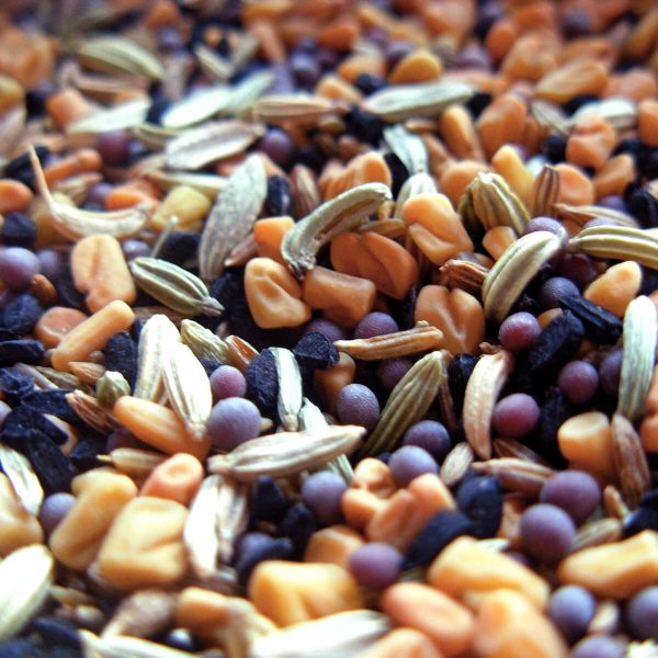 Seeds and Plant Saplings E-Commerce Export Business Opportunity