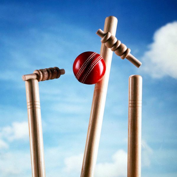 Team Sports Goods & Supplies E-Commerce Export Business Opportunity