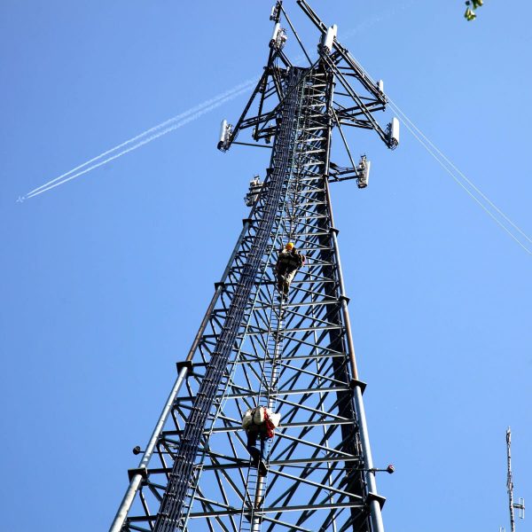 Telecommunication Equipment & Parts E-Commerce Export Business Opportunity